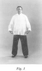 fig1.jpg (5687 bytes)