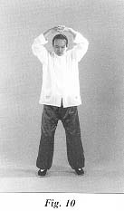 fig10.jpg (7289 bytes)