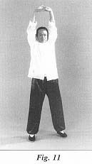 fig11.jpg (7072 bytes)