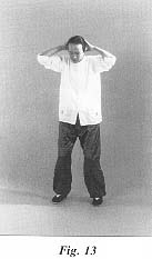 fig13.jpg (7390 bytes)