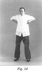 fig14.jpg (7631 bytes)