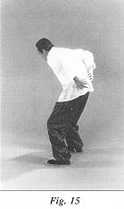 fig15.jpg (7271 bytes)