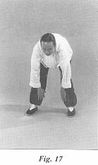 fig17.jpg (6950 bytes)