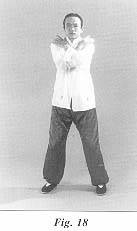 fig18.jpg (6841 bytes)
