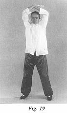 fig19.jpg (7762 bytes)