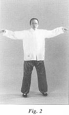 fig2.jpg (6632 bytes)