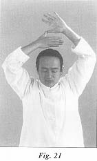 fig21.jpg (7168 bytes)