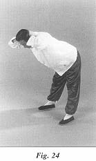 fig24.jpg (7374 bytes)