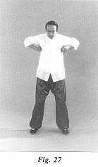 fig27.jpg (6933 bytes)