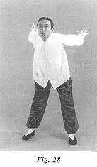 fig28.jpg (7699 bytes)