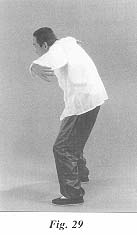 fig29.jpg (6667 bytes)
