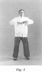 fig3.jpg (6489 bytes)
