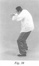fig30.jpg (6485 bytes)