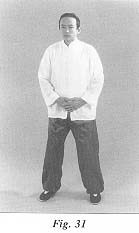 fig31.jpg (6922 bytes)