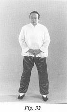 fig32.jpg (7541 bytes)