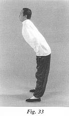 fig33.jpg (7227 bytes)