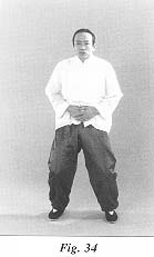 fig34.jpg (7406 bytes)
