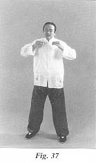fig37.jpg (7131 bytes)