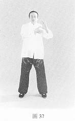 fig37a.jpg (4510 bytes)