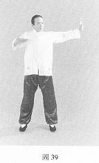 fig39.jpg (5733 bytes)