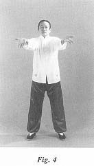 fig4.jpg (6724 bytes)