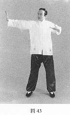 fig43.jpg (7932 bytes)