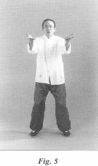 fig5.jpg (6932 bytes)