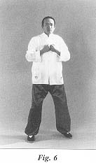 fig6.jpg (7766 bytes)