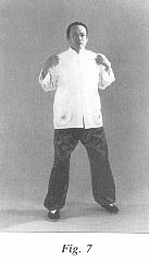 fig7.jpg (7342 bytes)