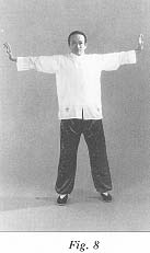 fig8.jpg (6950 bytes)