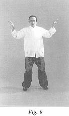fig9.jpg (6418 bytes)